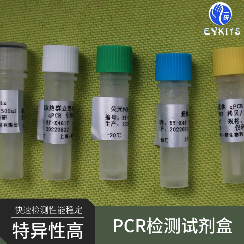 普雷沃菌属通用PCR检测试剂盒