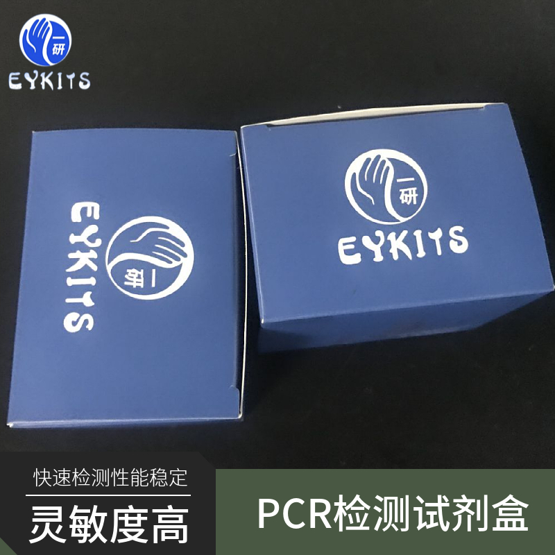 皮炎芽生菌PCR检测试剂盒