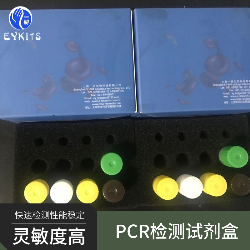 红斑丹毒丝菌PCR检测试剂盒