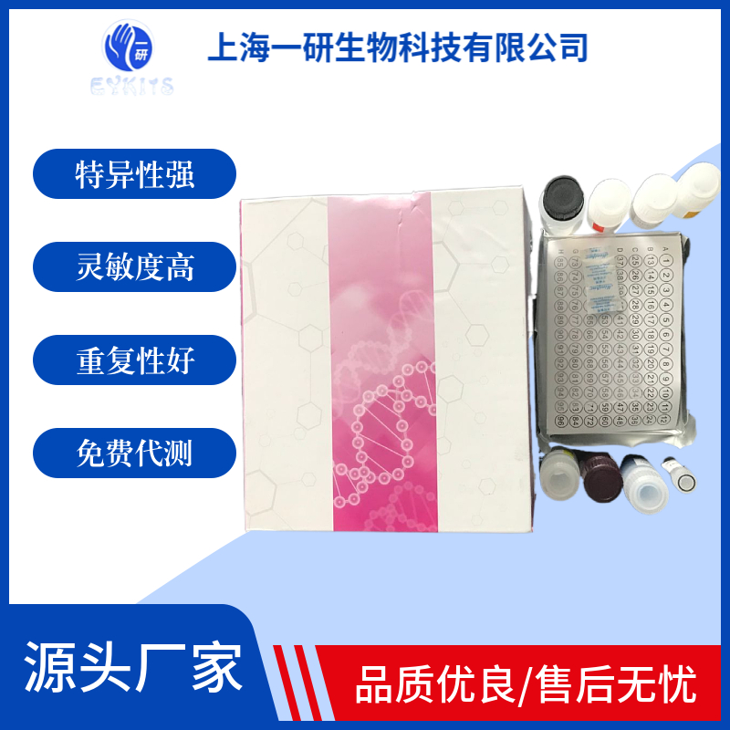 human gastric carcinoma Marker Elisa Kit