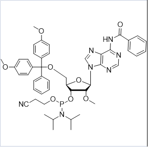 2'-OMe-Bz-A-CE-Phosphoramidite