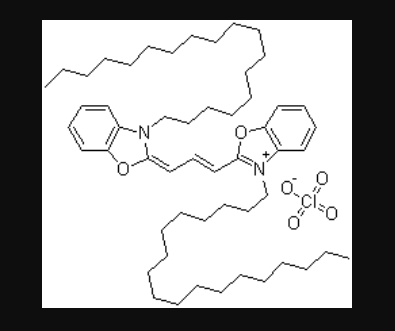 DiO细胞膜荧光探针绿色