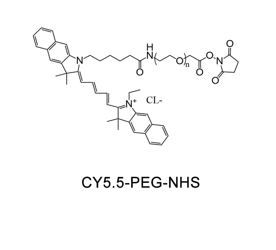 CY5.5-聚乙二醇-活性酯；CY5.5-PEG-NHS