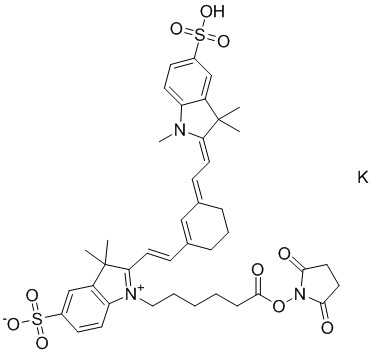 磺酰基Cy7 NHS酯