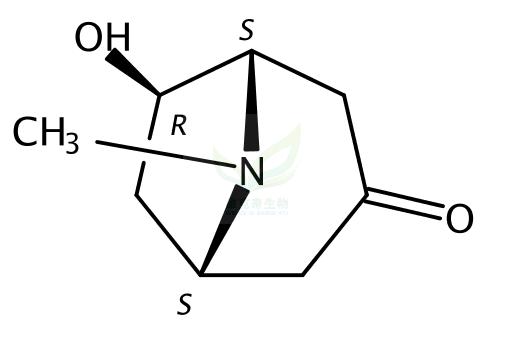 6-羟基托品酮 5932-53-6