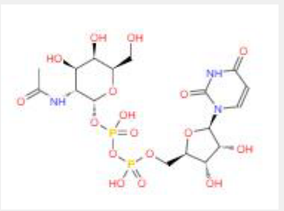 4-乙酰氨基-N-(2'-氨基苯基)-苯甲酰胺