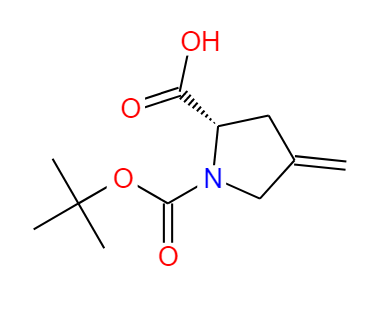 N-叔丁氧羰基-4-亚甲基-L-脯氨酸