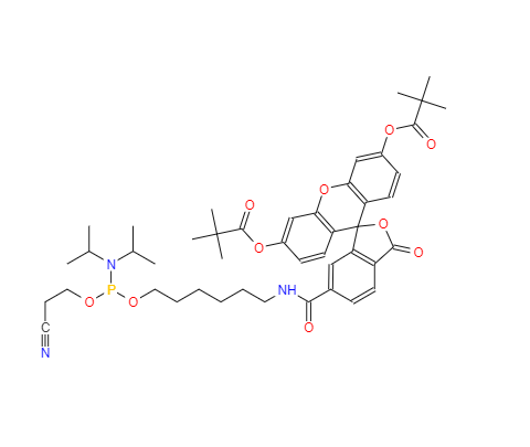 5'-荧光素氨基磷酸酯