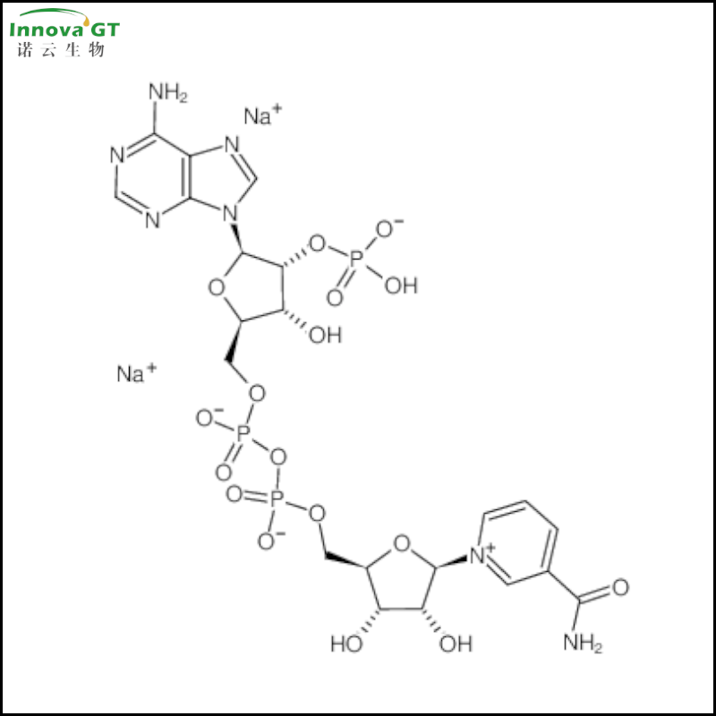 β-烟酰胺腺嘌呤二核苷酸磷酸二钠盐,NADP