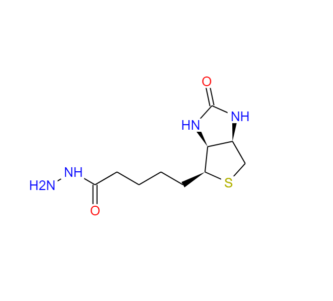 生物素酰肼