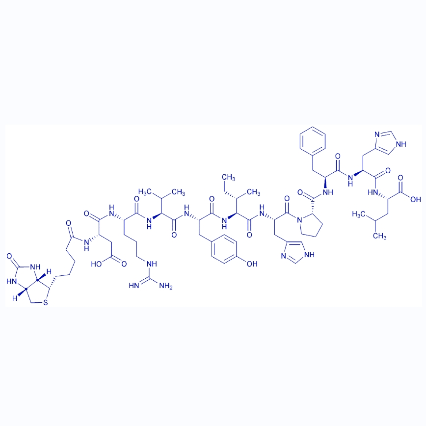 生物素-血管紧张素I/1815618-04-2/Biotin-Angiotensin I, human