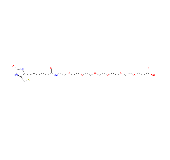 21-[D(+)-生物素基氨基]-4,7,10,13,16,19-六氧杂二十一烷酸