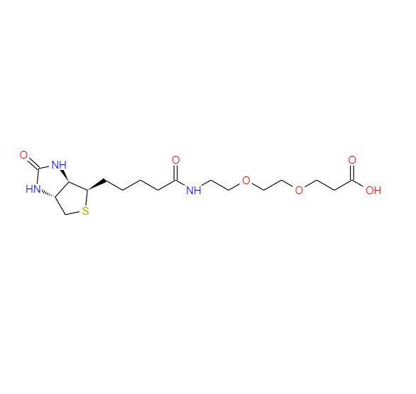 	BIOTIN-PEG2-ACID