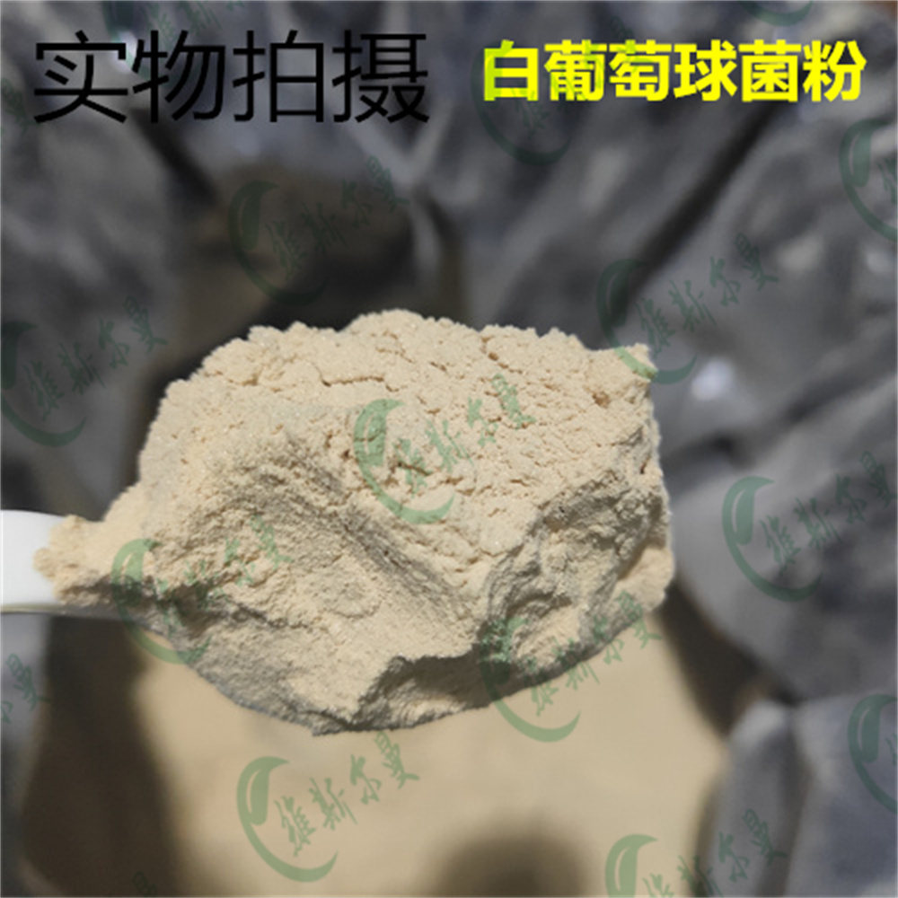 白葡萄球菌粉 |生物发酵来源  