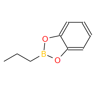 40218-49-3；1-丙基硼酸儿茶酚酯；2-PROPYL-1,3,2-BENZODIOXABOROLE