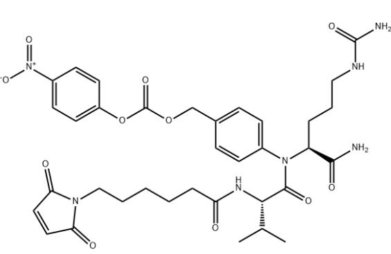 组织蛋白酶可裂解的 ADC 接头多肽