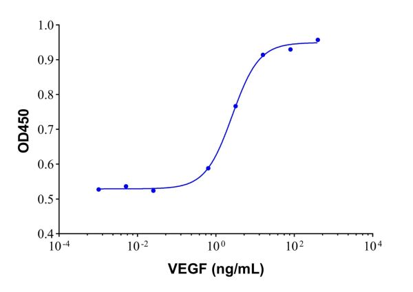 aladdin 阿拉丁 rp155965 Recombinant Human VEGF Protein 127464-60-2 GMP, >95%(SDS-PAGE), Active, Oryza sativa, No tag, 27-191 aa