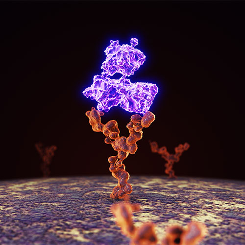 神经生长因子Beta-NGF-ACROBiosystems百普赛斯