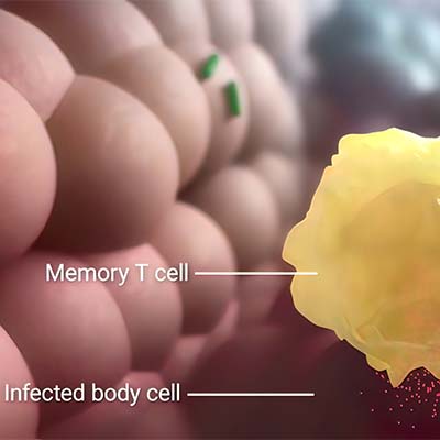 Anti Bevacizumab抗体-ACROBiosystems百普赛斯