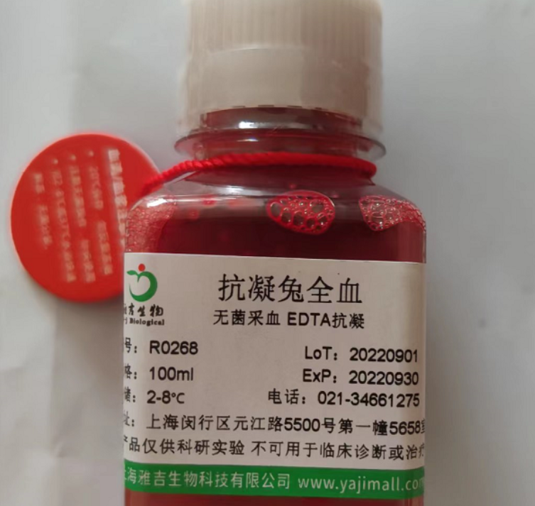 人前列腺增生细胞BPH1