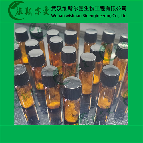 噻氯吡啶杂质B-噻氯匹定相关物质A-杂质-找维斯尔曼王华