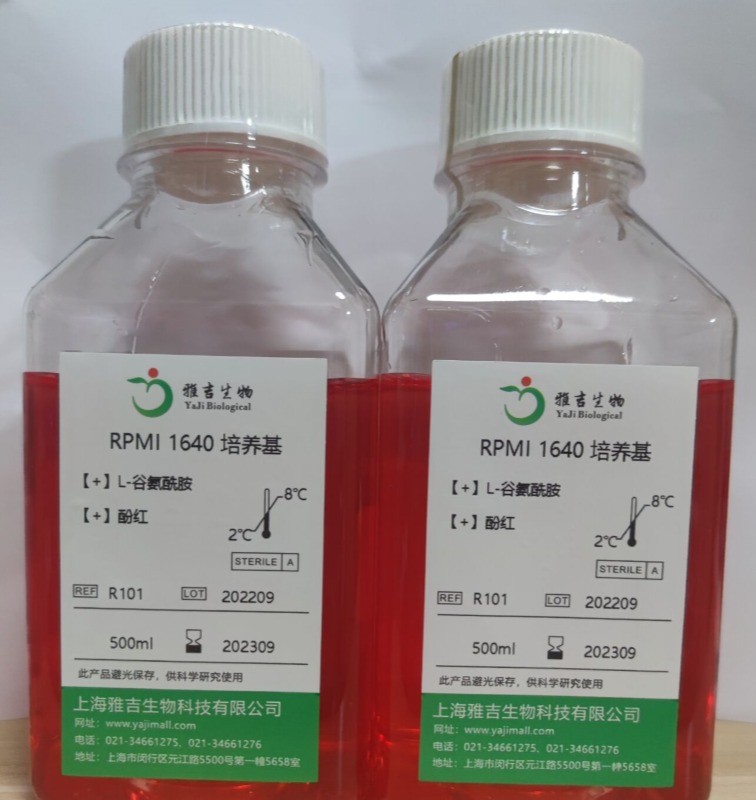 人结直肠腺癌细胞长春新碱耐药株HCT-8/V