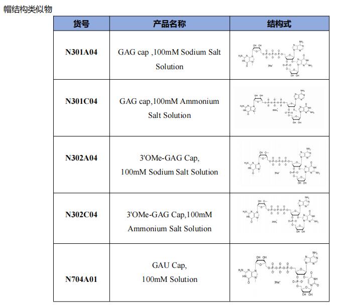 帽结构类似物.png