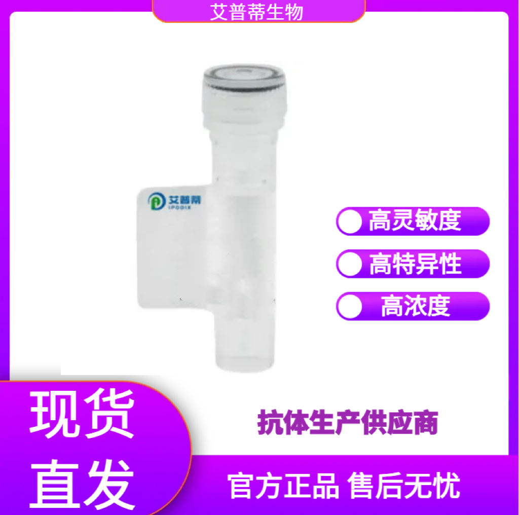 VASP抗体；VASP antibody 艾普蒂生物        