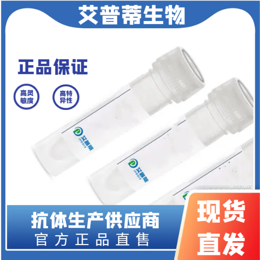 DPT抗体；DPT antibody 艾普蒂生物         