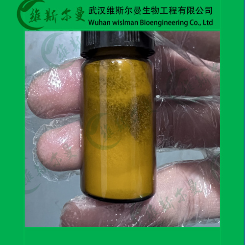 缬更昔洛韦盐酸盐-Valganciclovir hydrochloride-纯度98%-找维斯尔曼王华