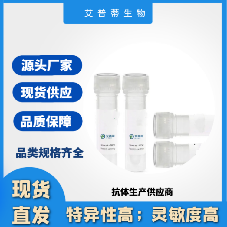 EPCAM抗体；EPCAM antibody 艾普蒂生物         