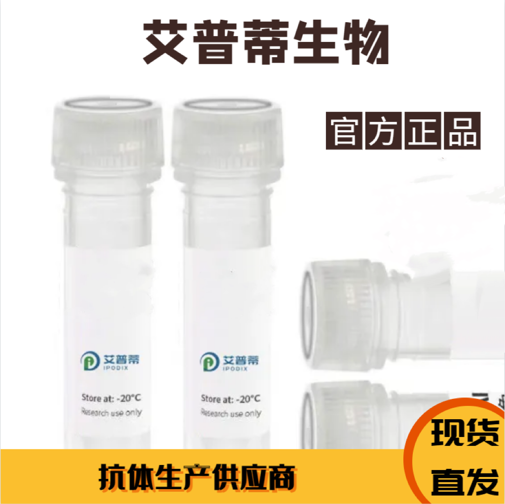 MTOR抗体；MTOR antibody 艾普蒂生物