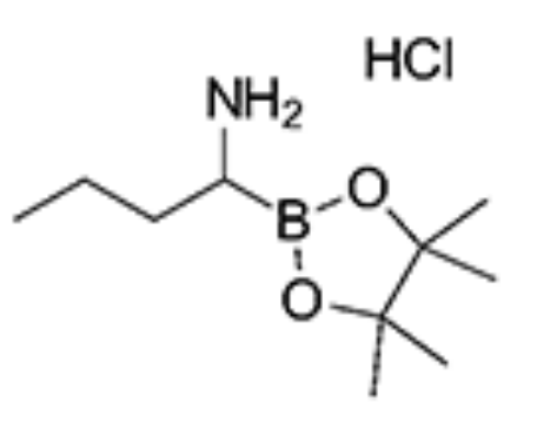 3020710-52-2；1-(4,4,5,5-Tetramethyl-1,3,2-dioxaborolan-2-yl)butylamine hydrochloride