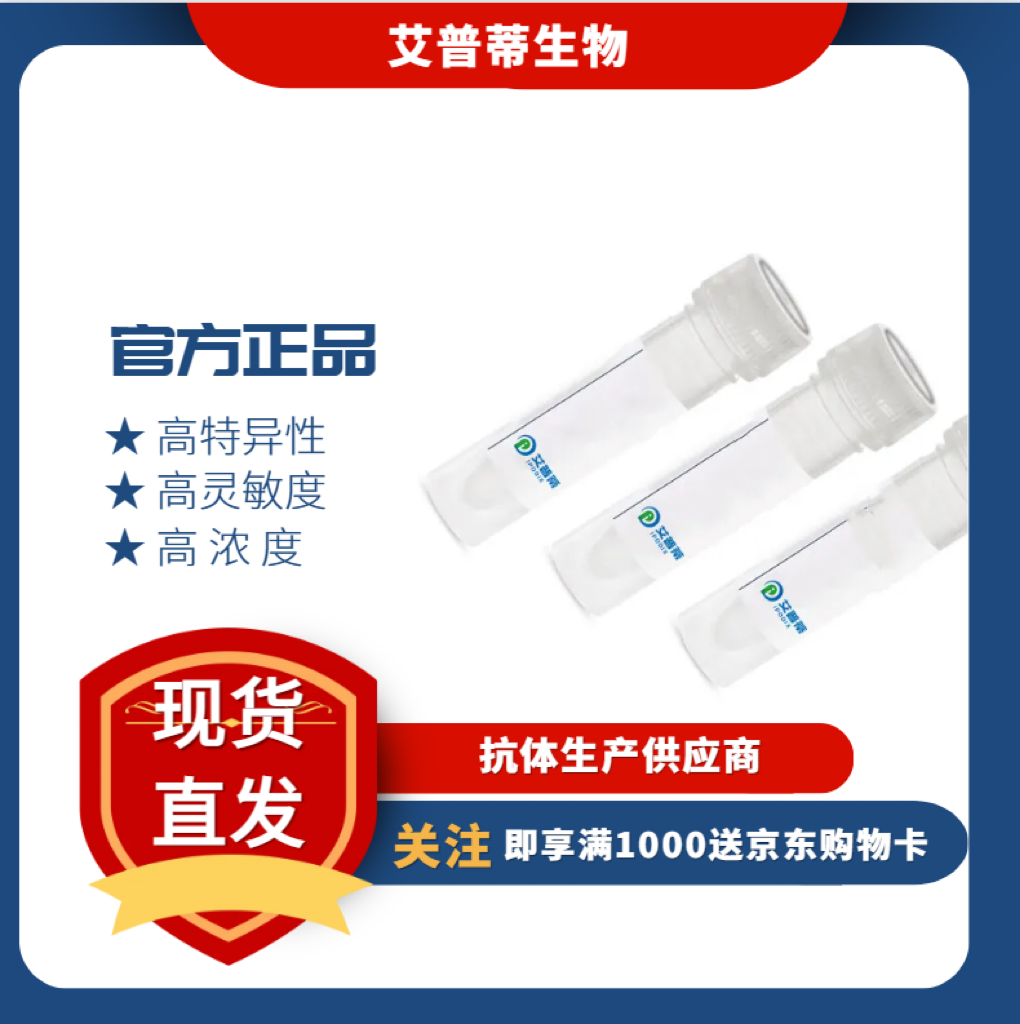 DAP抗体；DAP antibody 艾普蒂生物