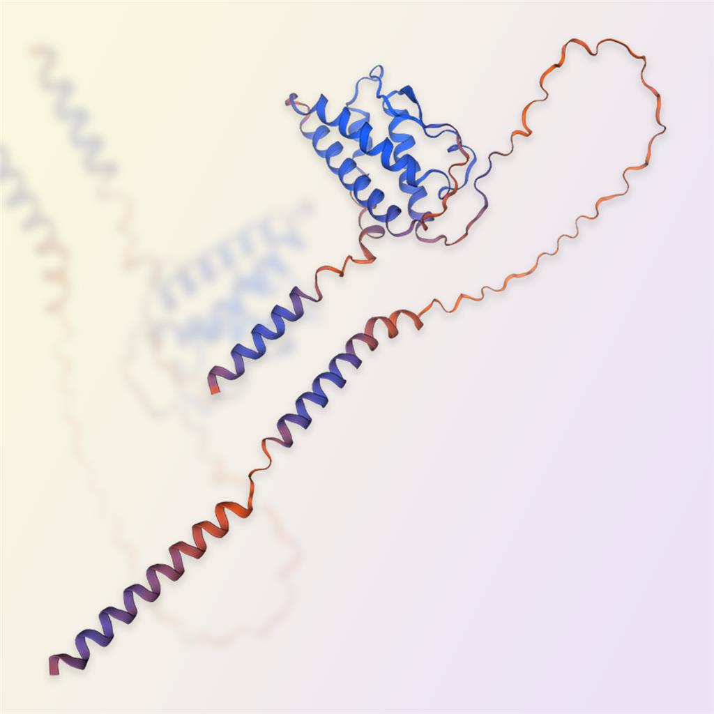 SCF重组蛋白，ACROBiosystems百普赛斯