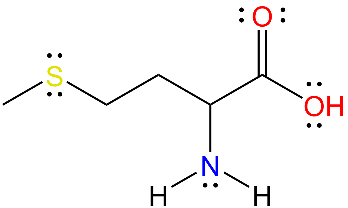 c5h11no2s lewis structure