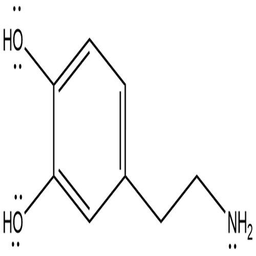 c8h11no2 lewis structure